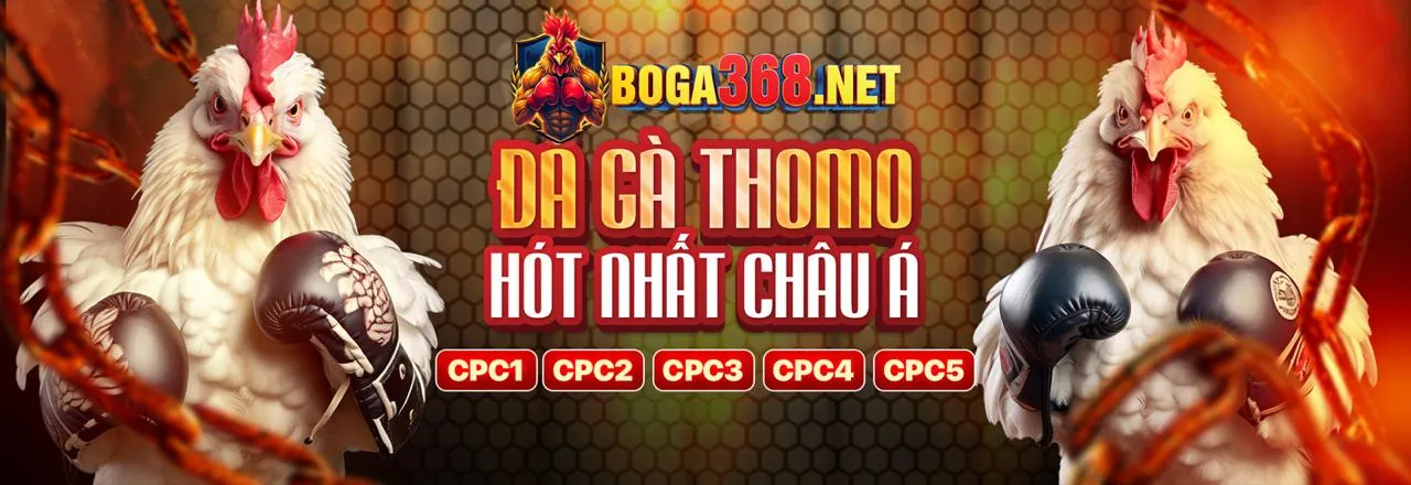 Tổng quan nền tảng game SCR99 với đa dạng trò chơi cá cược trực tuyến và sòng bạc