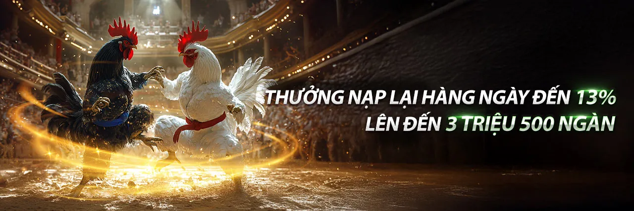 Đá Gà Trực Tuyến Hấp Dẫn tại scr99